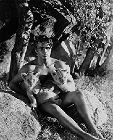 King of the Jungle (1933) - Stream Online