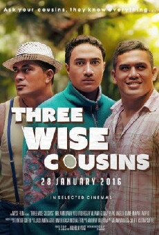 Three Wise Cousins (2016) - Stream Online