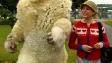 The Abominable Flatmate (2008) - Stream Online