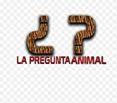 La pregunta animal (2003) - Stream Online