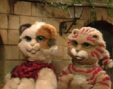 Pacha et les chats (1991) - Stream Online