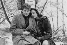 The Girl in the Picture (1985) - Stream Online
