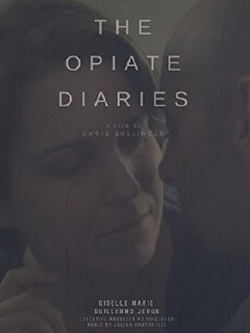 The Opiate Diaries (2018) - Stream Online