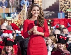 Disney Parks Christmas Parade Special (2010) - Stream Online