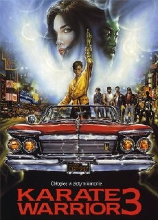 Karate Warrior 3 (1991) - Stream Online