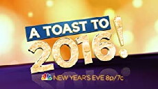A Toast to 2016! (2016) - Stream Online