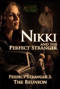 Nikki and the Perfect Stranger (2013) - Stream Online