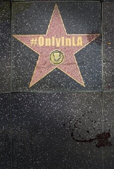 Only in L.A. (2013) - Stream Online