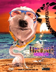 Hawaii Narc-O (2017) - Stream Online