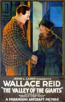 The Valley of the Giants (1919) - Stream Online
