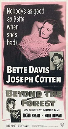 Beyond the Forest (1949) - Stream Online