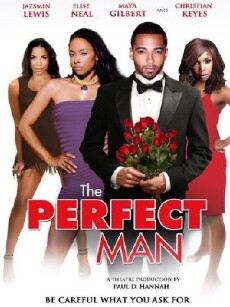 The Perfect Man (2011) - Stream Online