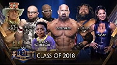 WWE Hall of Fame (2018) - Stream Online