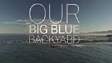 Our Big Blue Backyard (2014) - Stream Online
