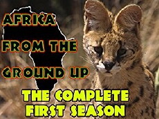 Africa from the Ground Up (1999) - Stream Online