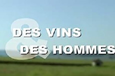 Des vins et des hommes (2006) - Stream Online