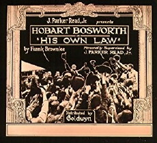 His Own Law (1920) - Stream Online