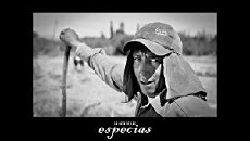 La Ruta de Las Especias (2014) - Stream Online