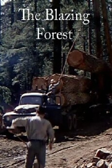 The Blazing Forest (1952) - Stream Online