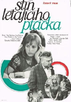 Der Schatten des fliegenden Vogels (1977) - Stream Online
