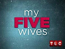 My Five Wives (2013) - Stream Online