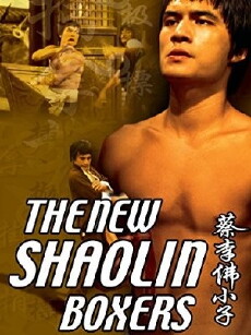 Der Todesblitz der Shaolin (1976) - Stream Online