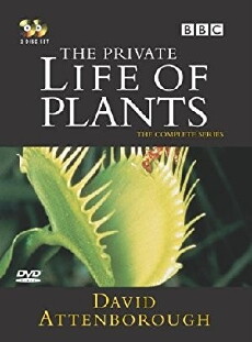 The Private Life of Plants (1995) - Stream Online