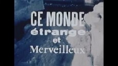 Ce monde étrange et merveilleux (1966) - Stream Online