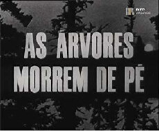 As Árvores Morrem de Pé (1966) - Stream Online