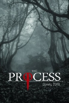 The Process (2018) - Stream Online