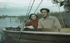 Fuss Over Feathers (1954) - Stream Online