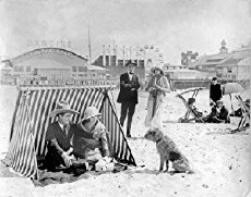 Desert Love (1920) - Stream Online