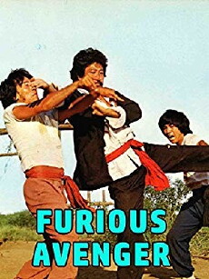 The Furious Avenger (1974) - Stream Online