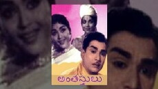 Antastulu (1965) - Stream Online