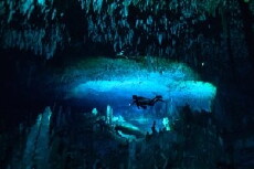 Bahama Blue (2015) - Stream Online