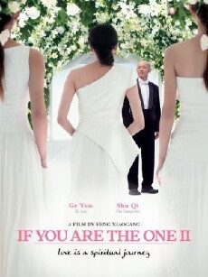 If You Are the One 2 (2010) - Stream Online
