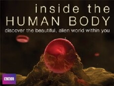Inside the Human Body (2011) - Stream Online