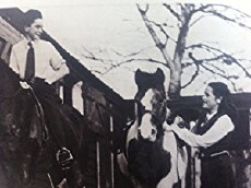 Riders of the New Forest (1948) - Stream Online