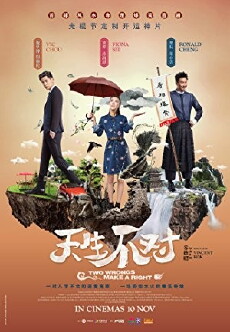 Two Wrongs Make a Right (2017) - Stream Online