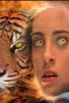 Wild Kat (2001) - Stream Online
