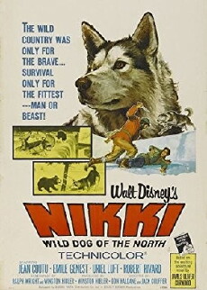 Nikki, Wild Dog of the North (1961) - Stream Online