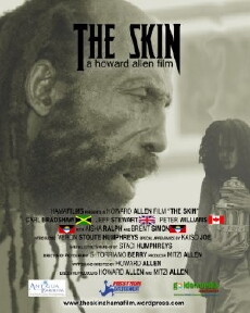 The Skin (2011) - Stream Online