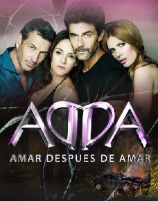 Amar, después de amar (2017) - Stream Online