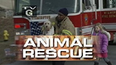 Animal Rescue with Alex Paen (2007) - Stream Online