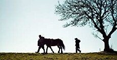 The Story of Lantrian (2013) - Stream Online