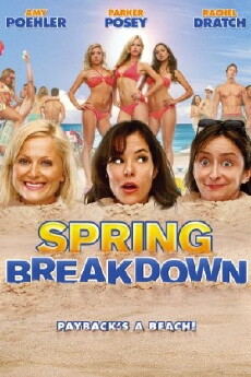 Spring Breakdown (2009) - Stream Online