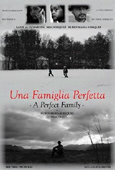 A Perfect Family (2017) - Stream Online
