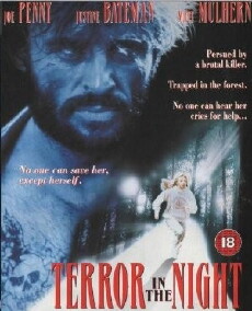 Terror in the Night (1994) - Stream Online