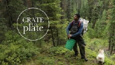 Crate to Plate (2016) - Stream Online