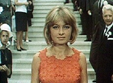 Ohrfeigen mit Musik (1967) - Stream Online